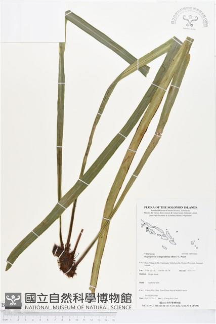 登錄號:BP01611藏品圖，第1張