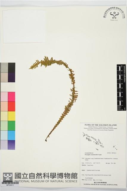 Accession Number:BP03611 Collection Image