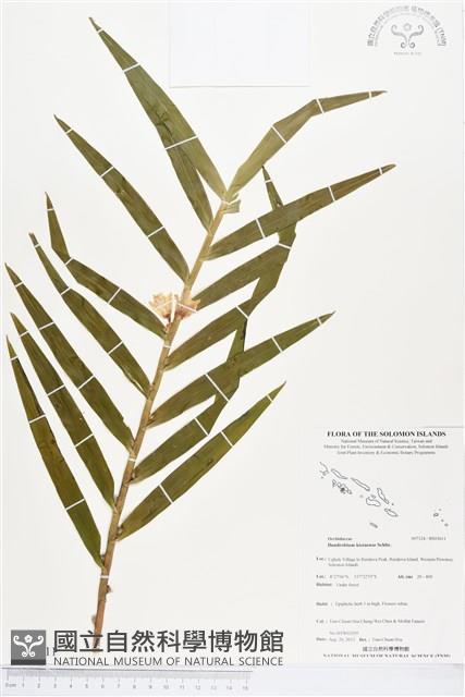 登錄號:BS03611藏品圖，第1張