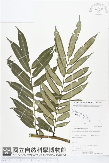 登錄號:BP01111藏品圖，第1張