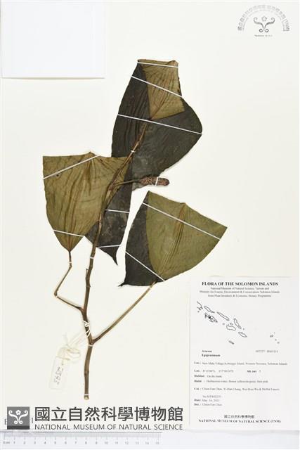 登錄號:BS03111藏品圖，第1張