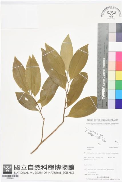 登錄號:BS06411藏品圖，第1張
