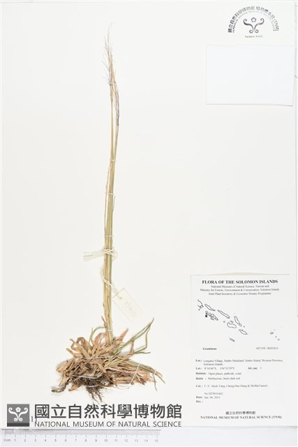 登錄號:BS02411藏品圖，第1張