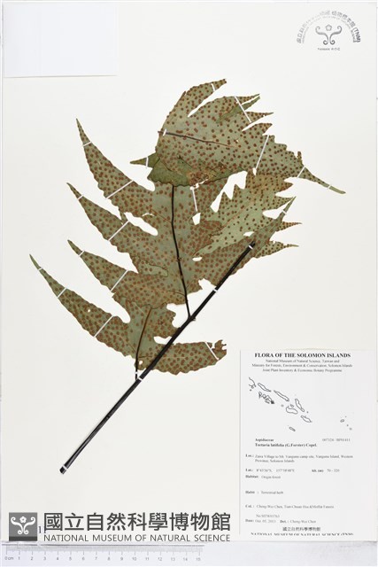 登錄號:BP01411藏品圖，第1張