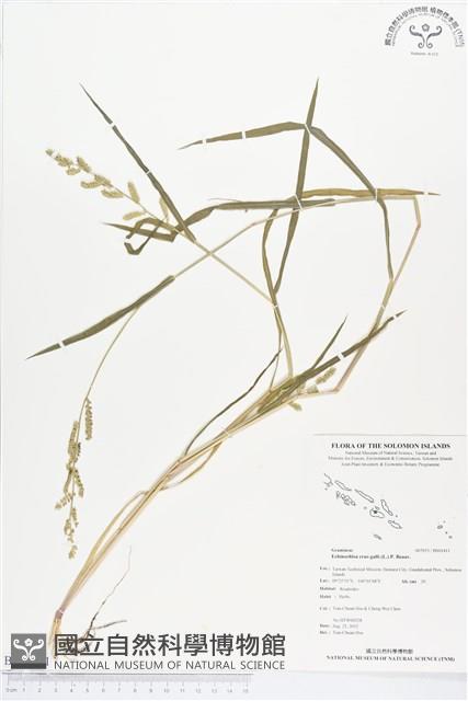 稗藏品圖，第1張