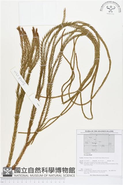 登錄號:BP00211藏品圖，第1張