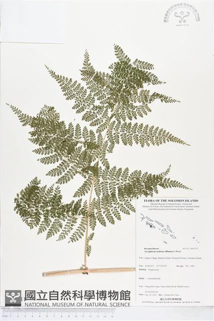 登錄號:BP01211藏品圖，第1張