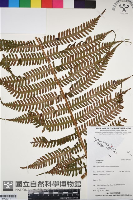 登錄號:BP03211藏品圖，第1張