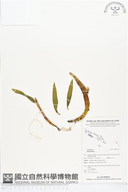 登錄號:BS02711藏品圖，第1張