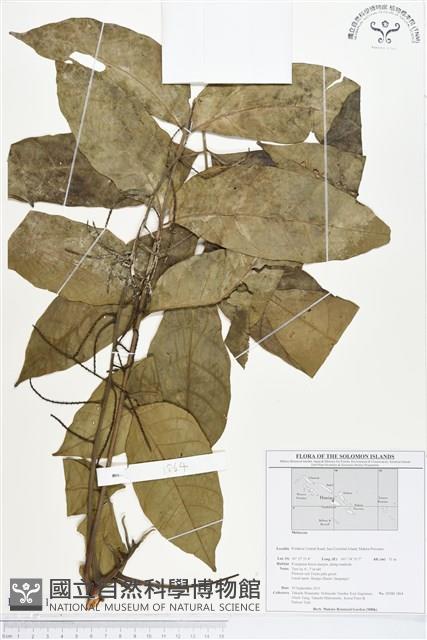 登錄號:BS01711藏品圖，第1張