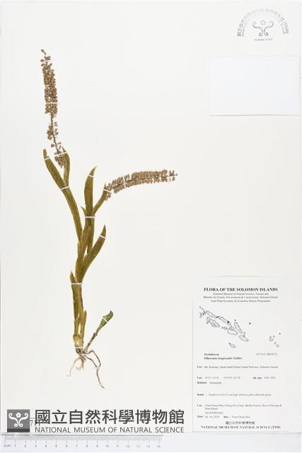 登錄號:BS04711藏品圖，第1張