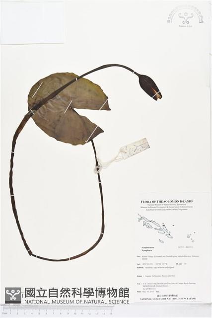 登錄號:BS05511藏品圖，第1張