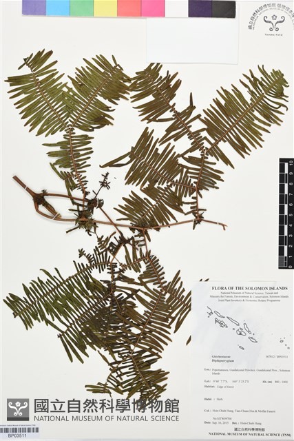 登錄號:BP03511藏品圖，第1張