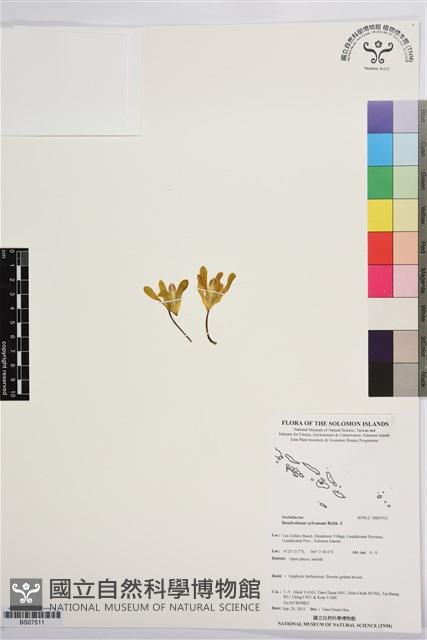 登錄號:BS07511藏品圖，第1張