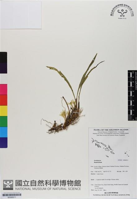 登錄號:BS06911藏品圖，第1張