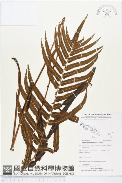 登錄號:BP01911藏品圖，第1張