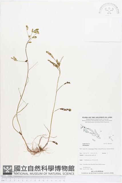 登錄號:BS04911藏品圖，第1張
