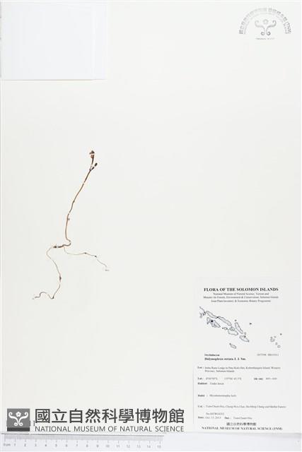 登錄號:BS03911藏品圖，第1張