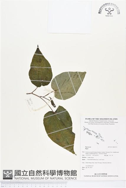 登錄號:BS02311藏品圖，第1張