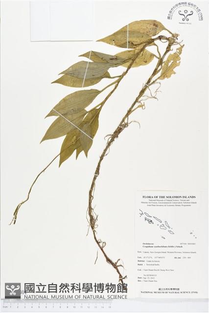 登錄號:BS01801藏品圖，第1張