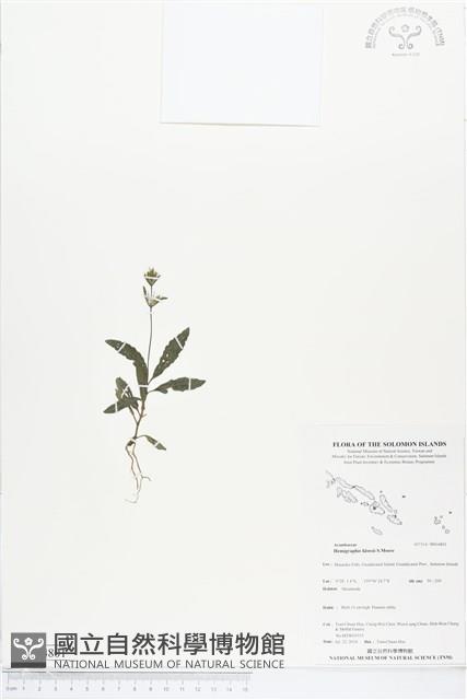 登錄號:BS04801藏品圖，第1張