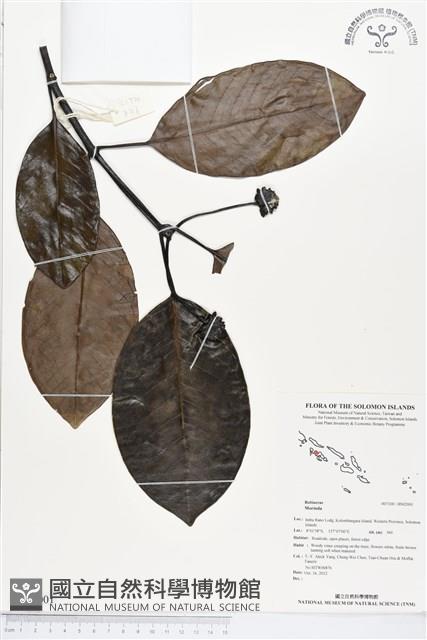 登錄號:BS02001藏品圖，第1張