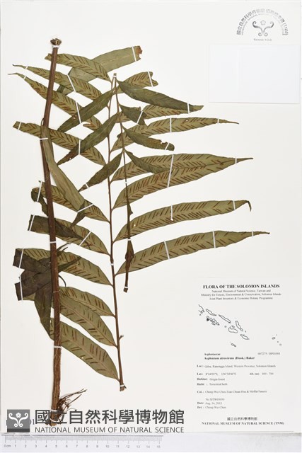 登錄號:BP01001藏品圖，第1張