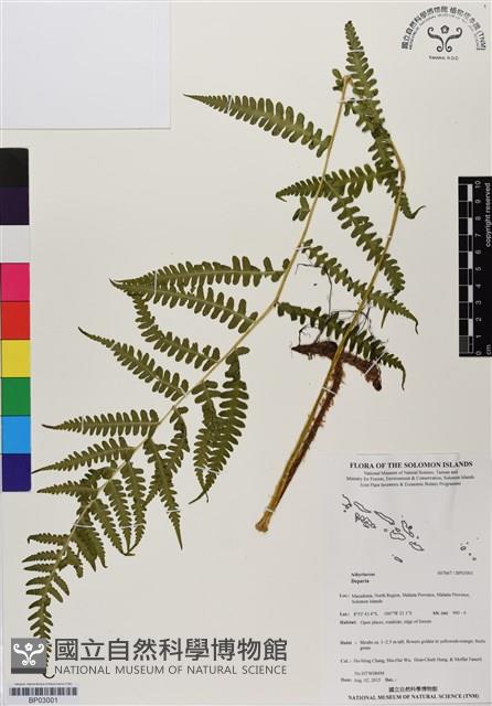 登錄號:BP03001藏品圖，第1張