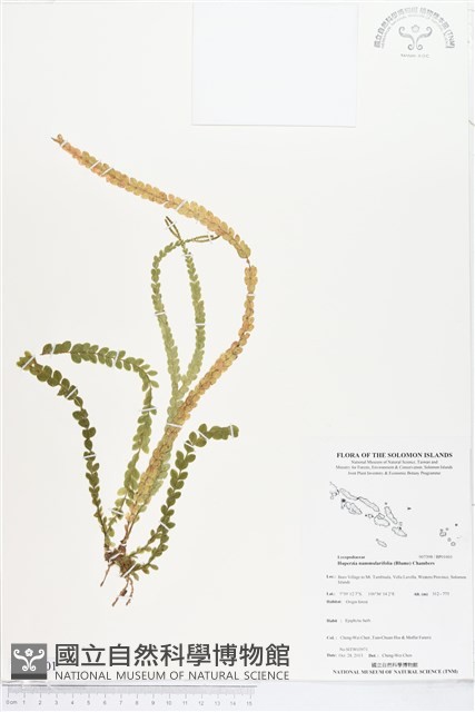 登錄號:BP01601藏品圖，第1張