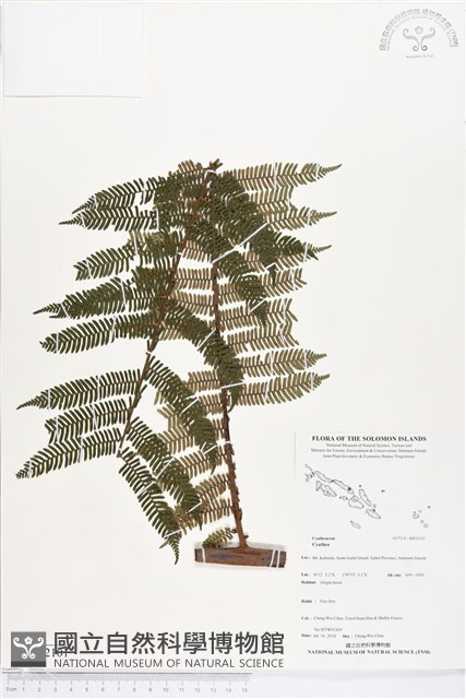 登錄號:BP02101藏品圖，第1張