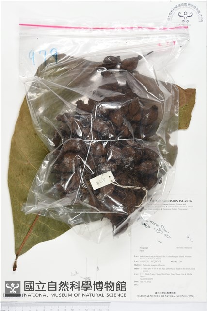 登錄號:BS02101藏品圖，第1張