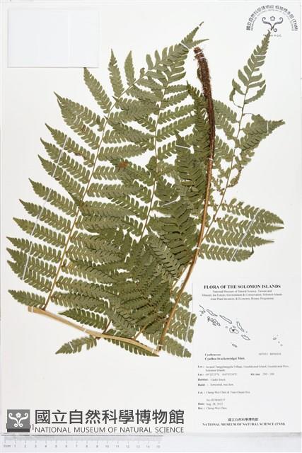 登錄號:BP00101藏品圖，第1張