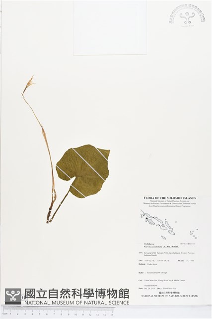 登錄號:BS04101藏品圖，第1張