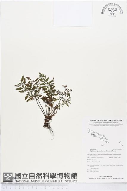 登錄號:BP00401藏品圖，第1張