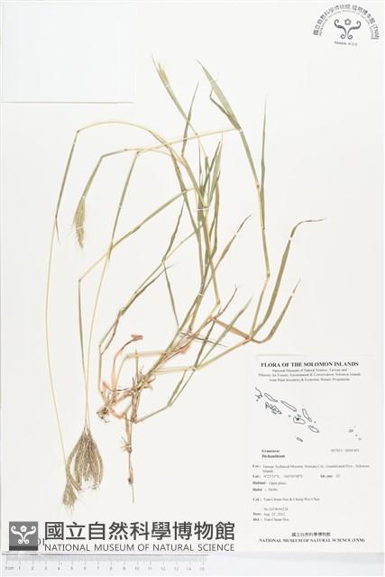 登錄號:BS01401藏品圖，第1張