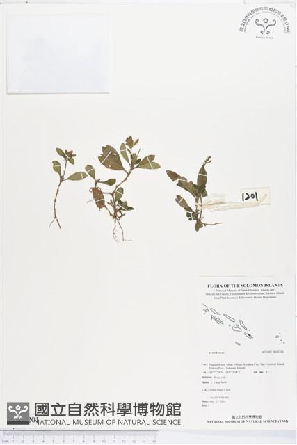 登錄號:BS02201藏品圖，第1張