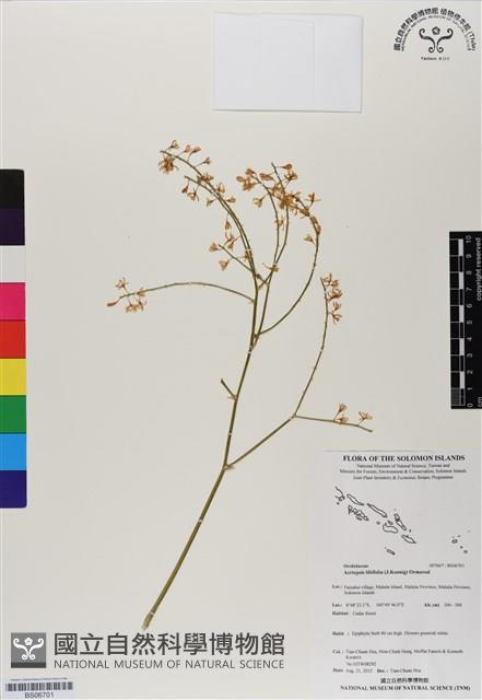 登錄號:BS06701藏品圖，第1張