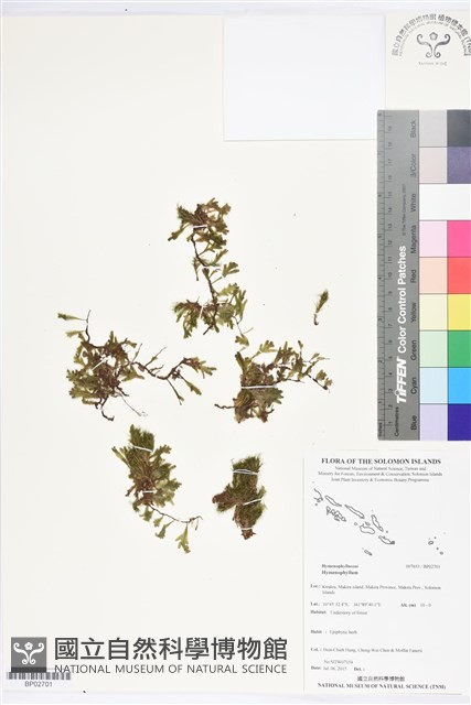 登錄號:BP02701藏品圖，第1張