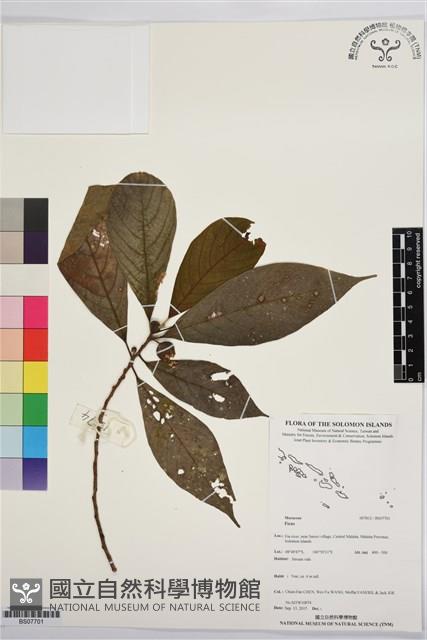 登錄號:BS07701藏品圖，第1張