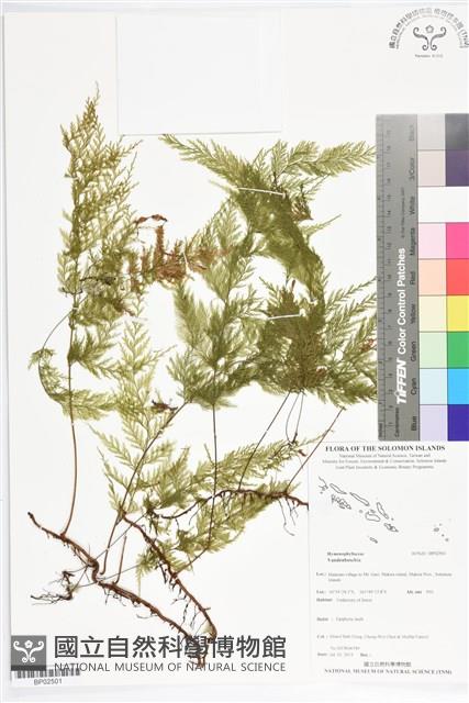 登錄號:BP02501藏品圖，第1張