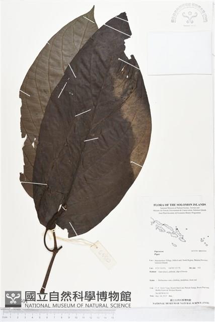 登錄號:BS05501藏品圖，第1張