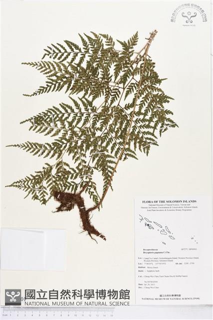 登錄號:BP00901藏品圖，第1張