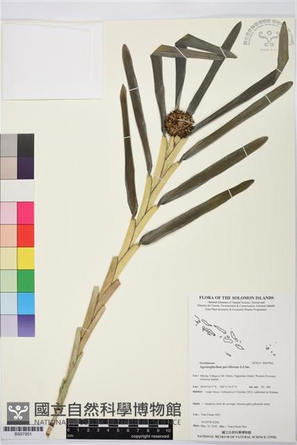 登錄號:BS07901藏品圖，第1張