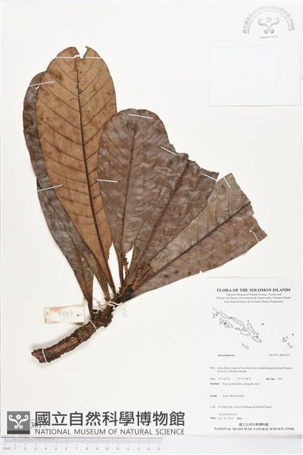 登錄號:BS05301藏品圖，第1張