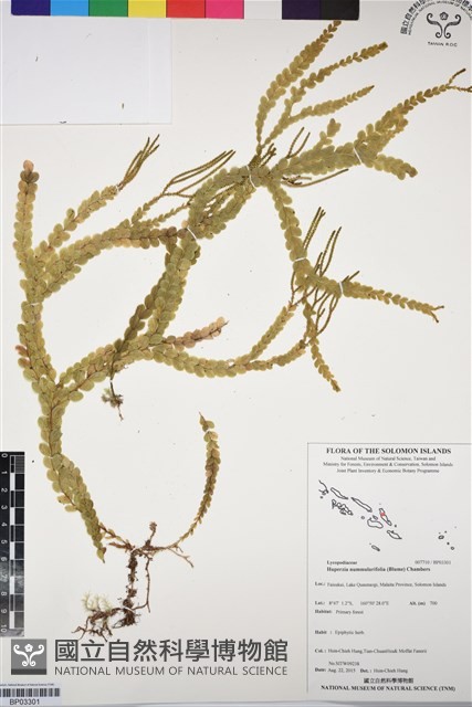 登錄號:BP03301藏品圖，第1張
