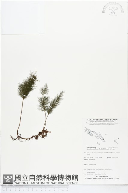 登錄號:BP01831藏品圖，第1張