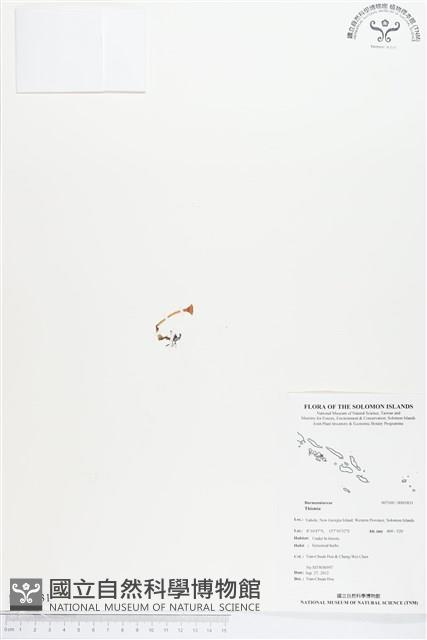 登錄號:BS01831藏品圖，第1張