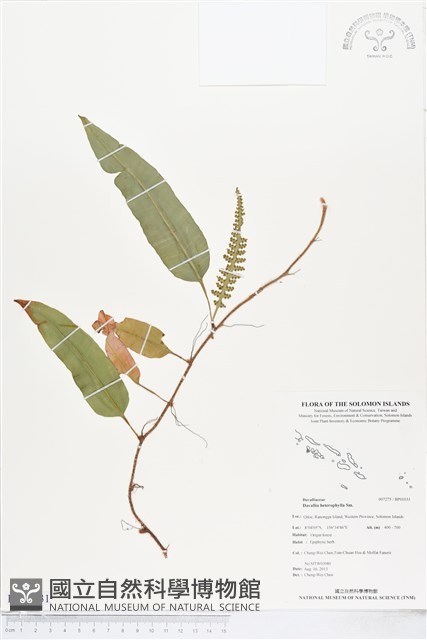 登錄號:BP01031藏品圖，第1張