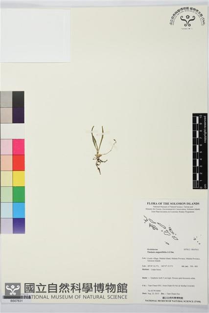 登錄號:BS07631藏品圖，第1張