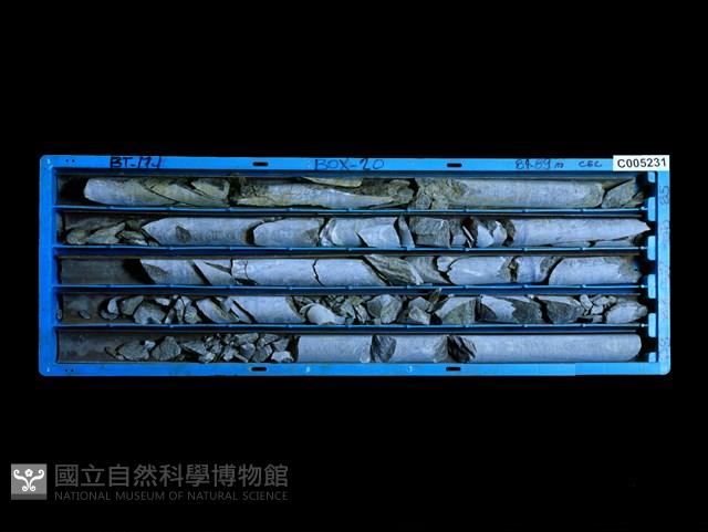 登錄號:C005231藏品圖，第1張